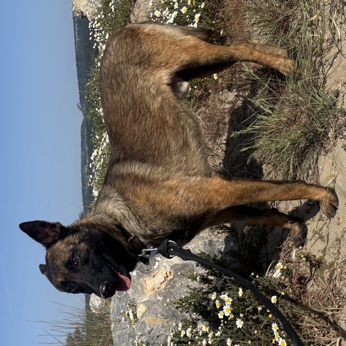 AKILA